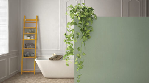 Green interior design concept background with copy space, foreground white wall with potted plant, classic bright bathroom