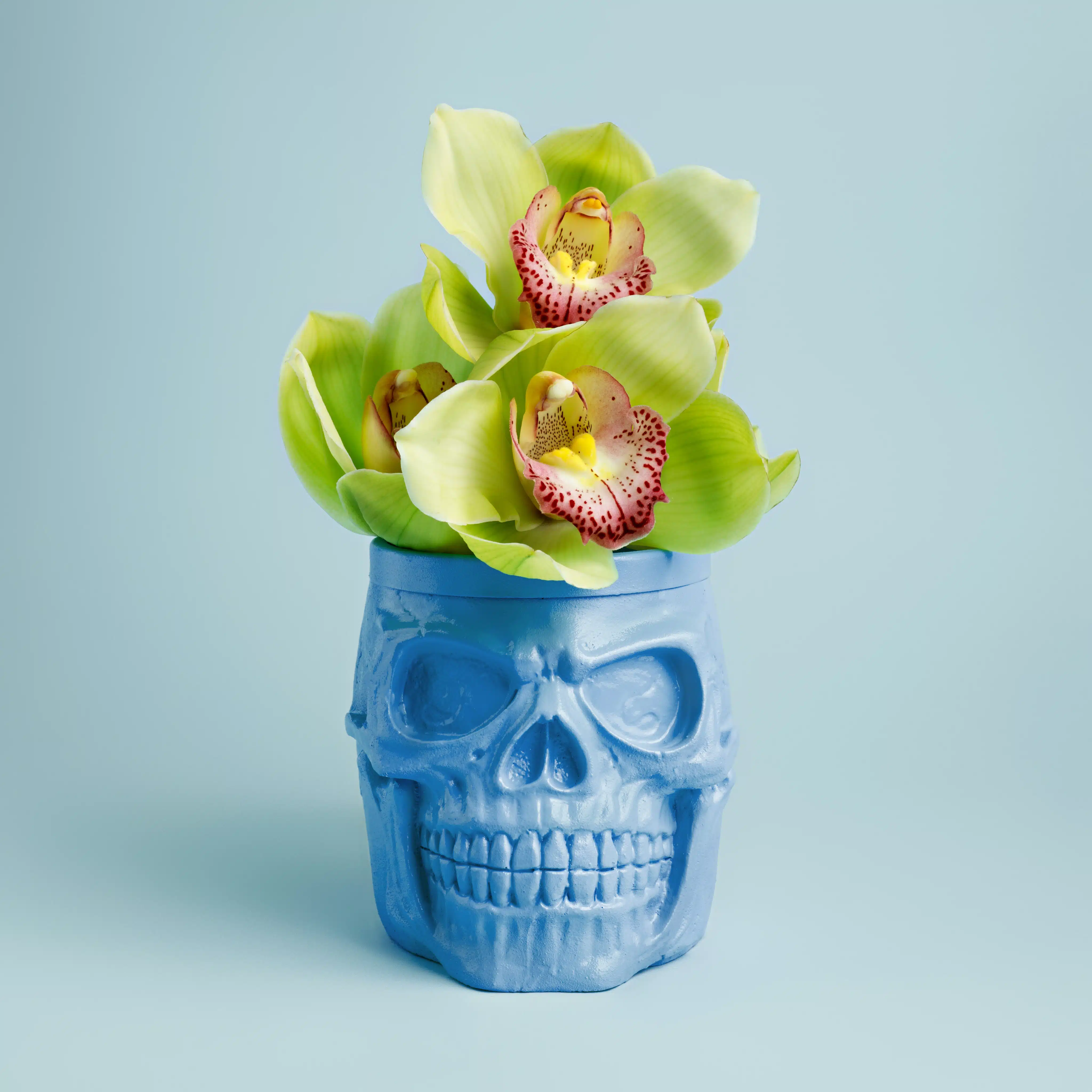 Rust-Oleum Little Stars Kaluste & Lelumaali Helmiäishohde - Image 2