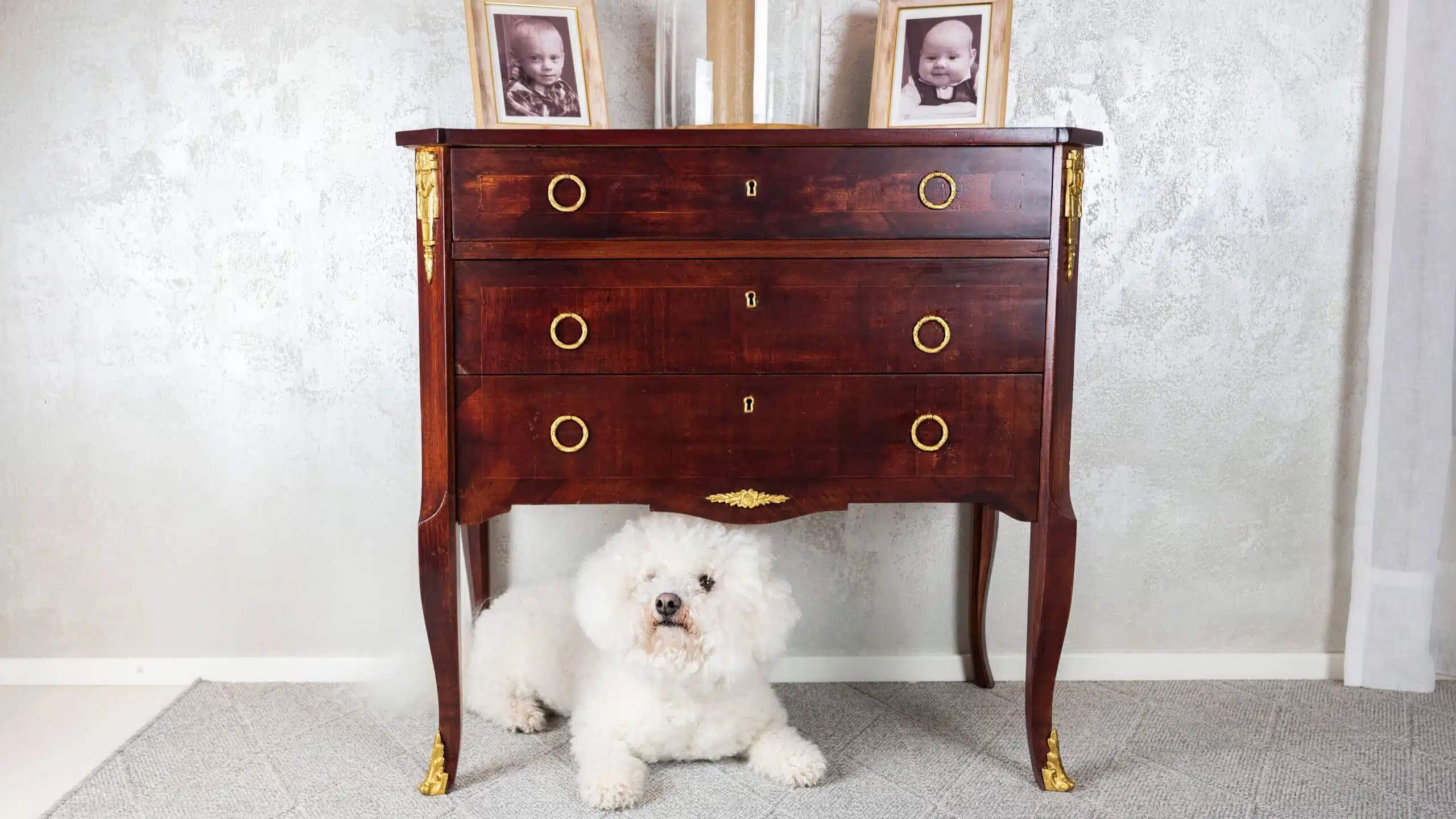 Liberon Bistrot lakka - Image 5