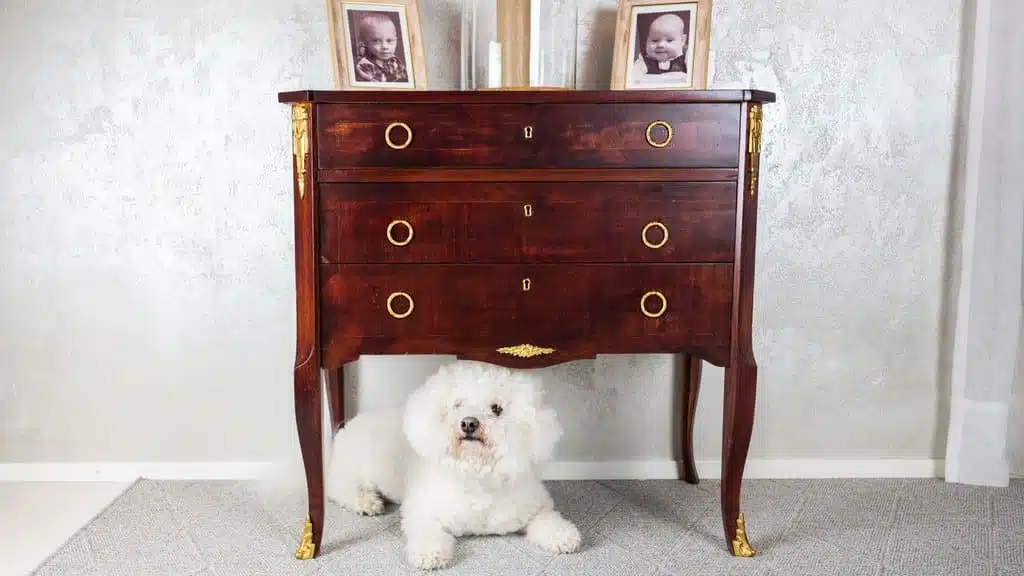 Liberon Bistrot lakka - Image 2