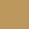 Pure Gold Gloss