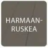 Harmaanruskea