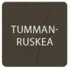 Tummanruskea