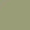 Verdigris